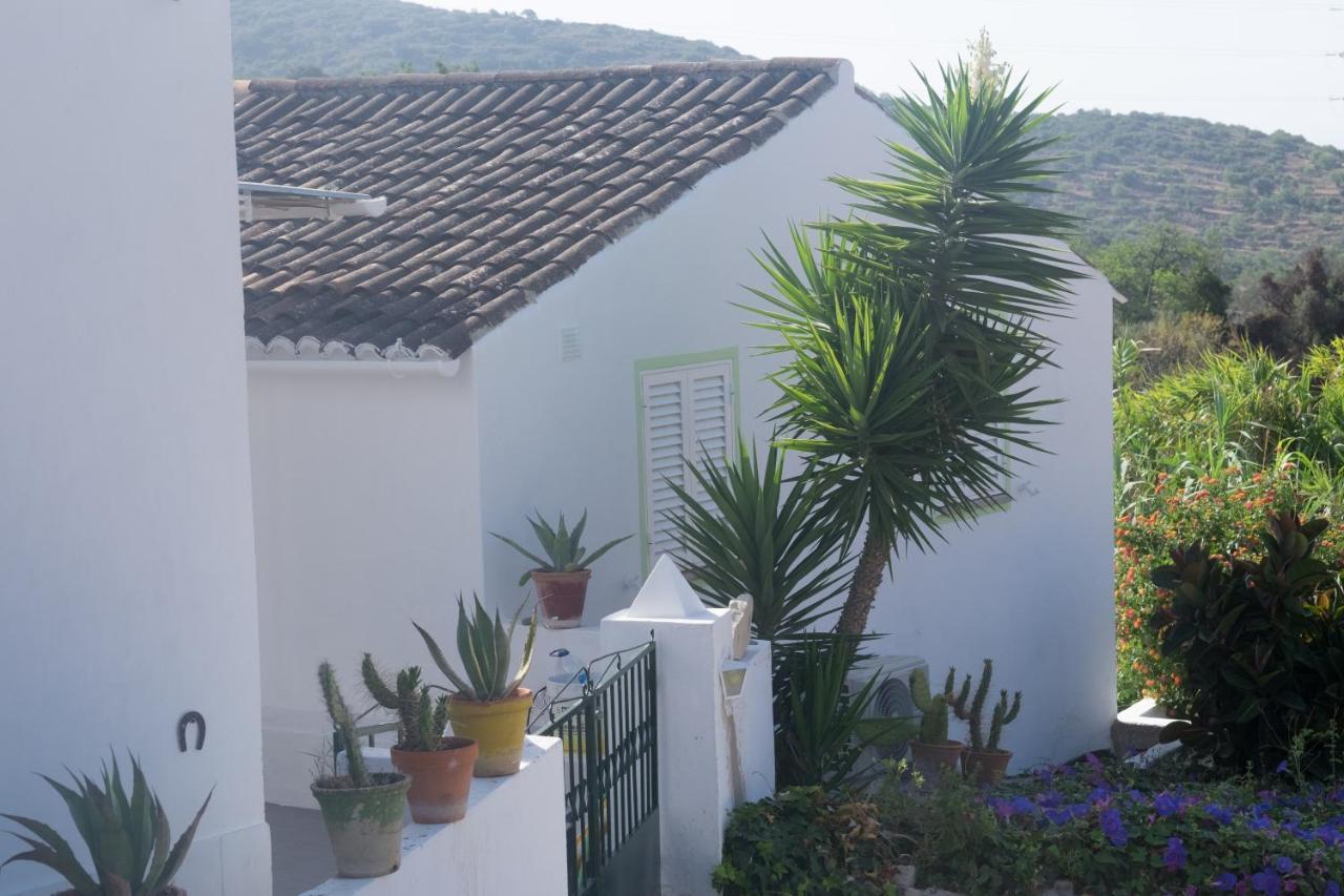 Casa Da Cabeca Hotell Azinheiro Eksteriør bilde